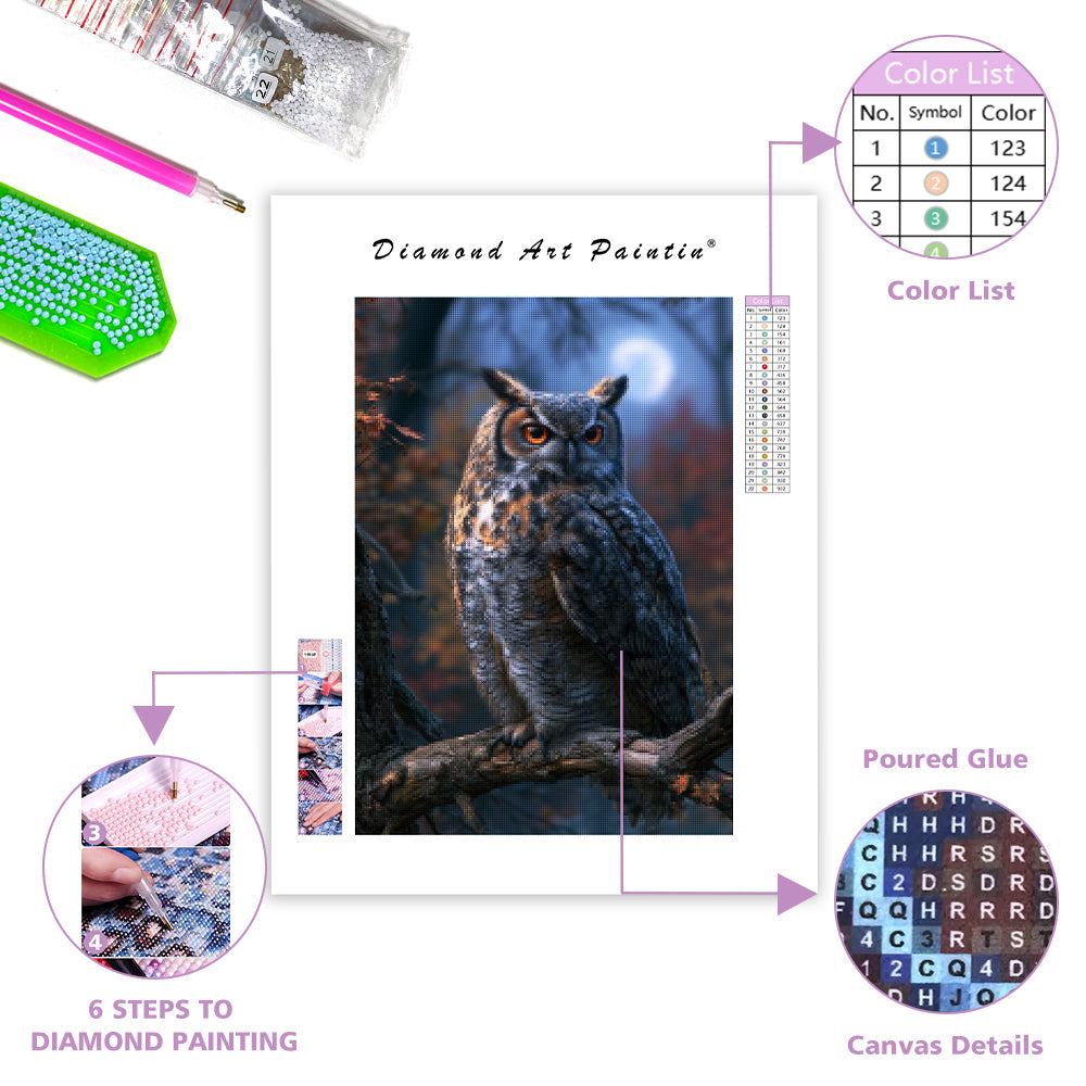 Enchanted Owl - Diamond Painting