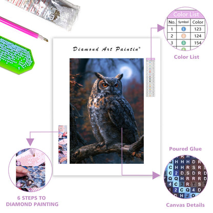 Enchanted Owl - Diamond Painting