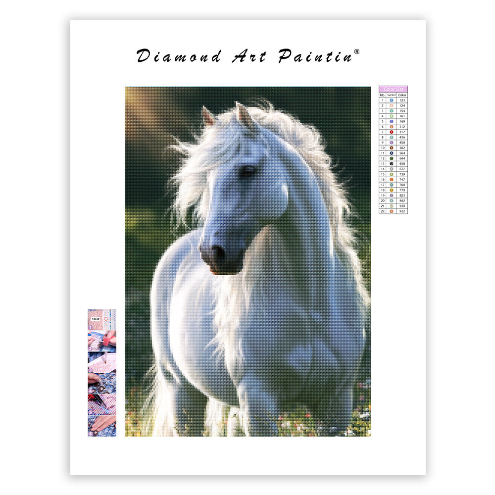 Horse Portrait - Diamond Painting
