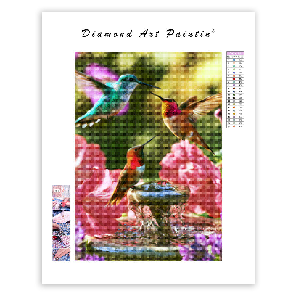 Hummingbird Fountain - Diamond Painting