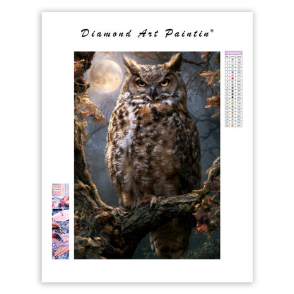Magical Owl - Diamond Painting