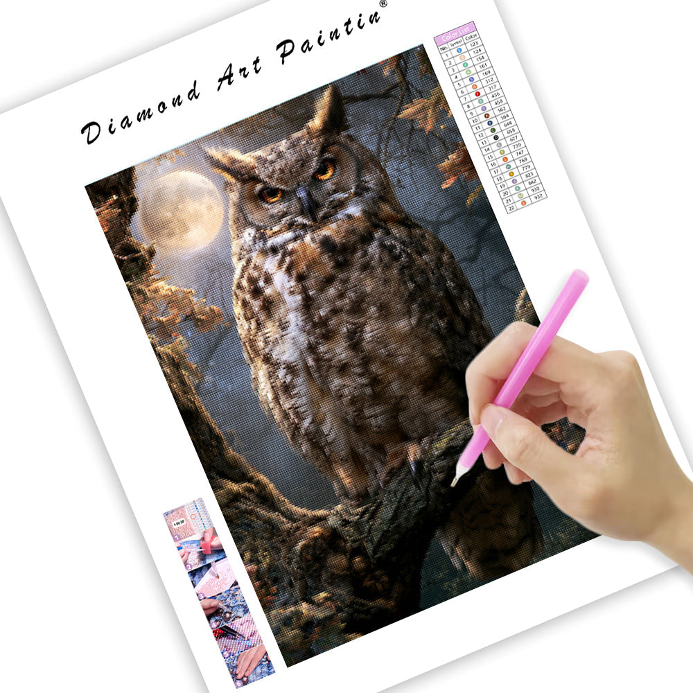 Magical Owl - Diamond Painting