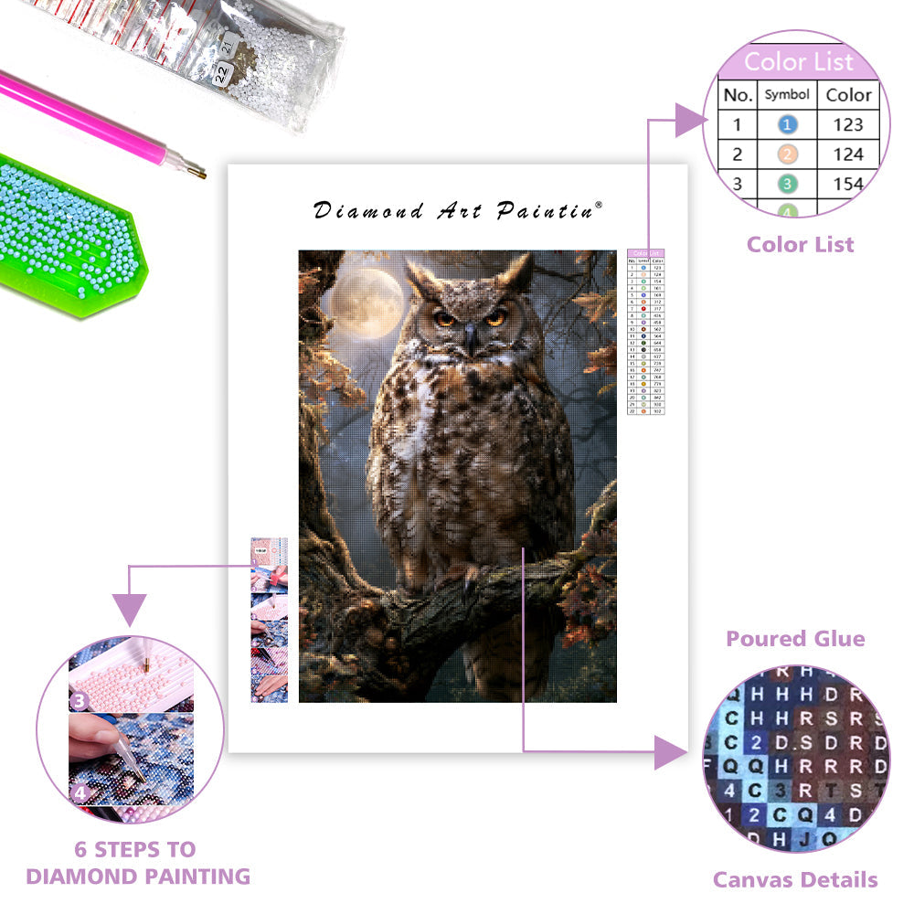 Magical Owl - Diamond Painting