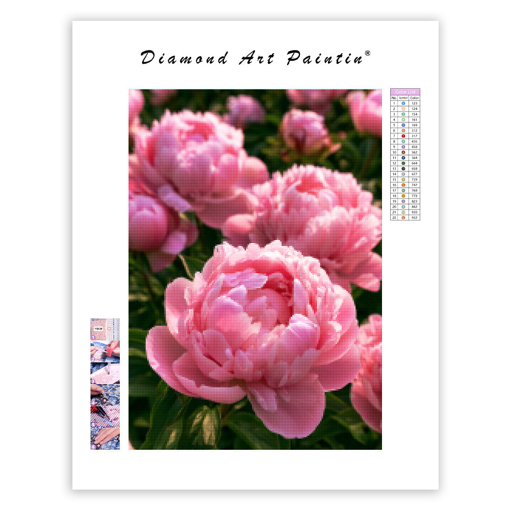 Pink Peony - Diamond Painting