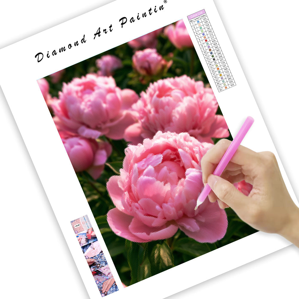Pink Peony - Diamond Painting