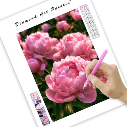 Pink Peony - Diamond Painting