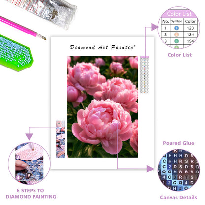 Pink Peony - Diamond Painting