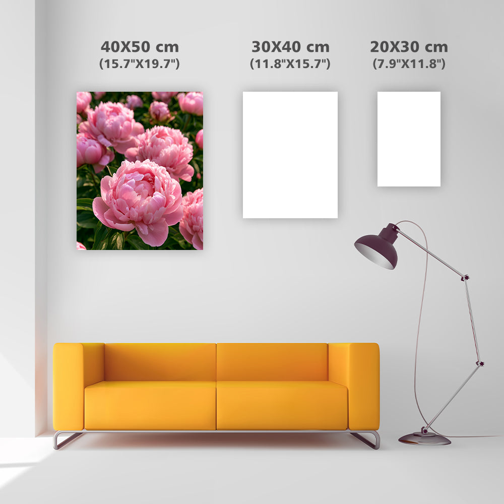 Pink Peony - Diamond Painting
