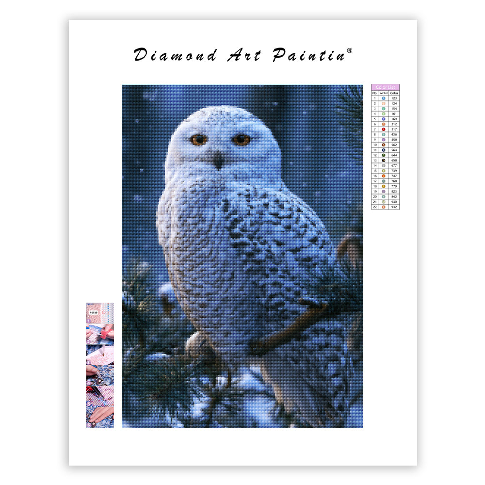 Winter Owl - Diamond Painting