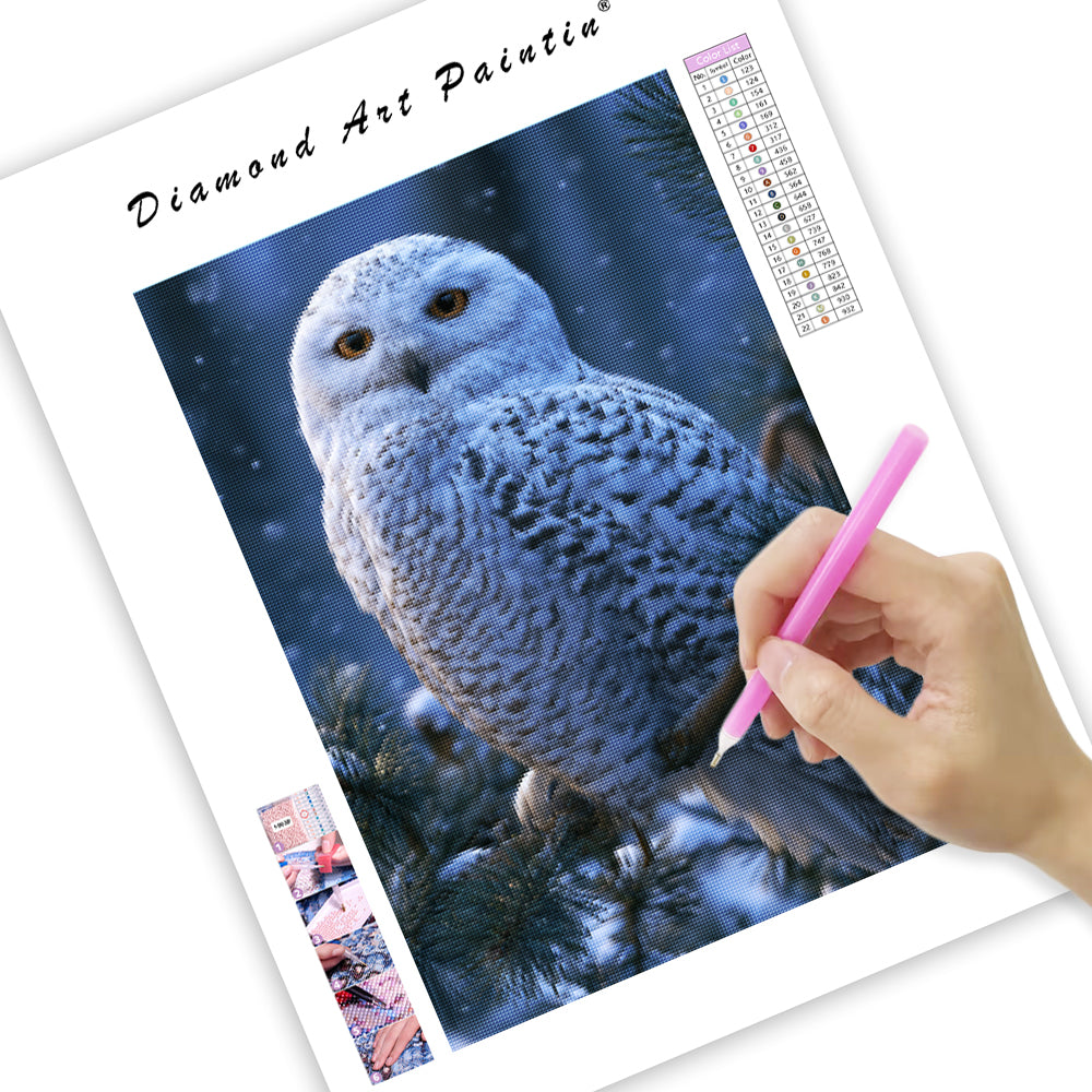 Winter Owl - Diamond Painting
