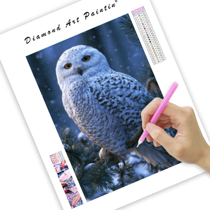Winter Owl - Diamond Painting