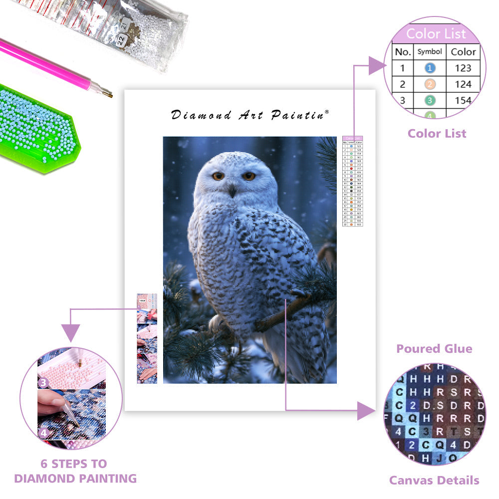 Winter Owl - Diamond Painting