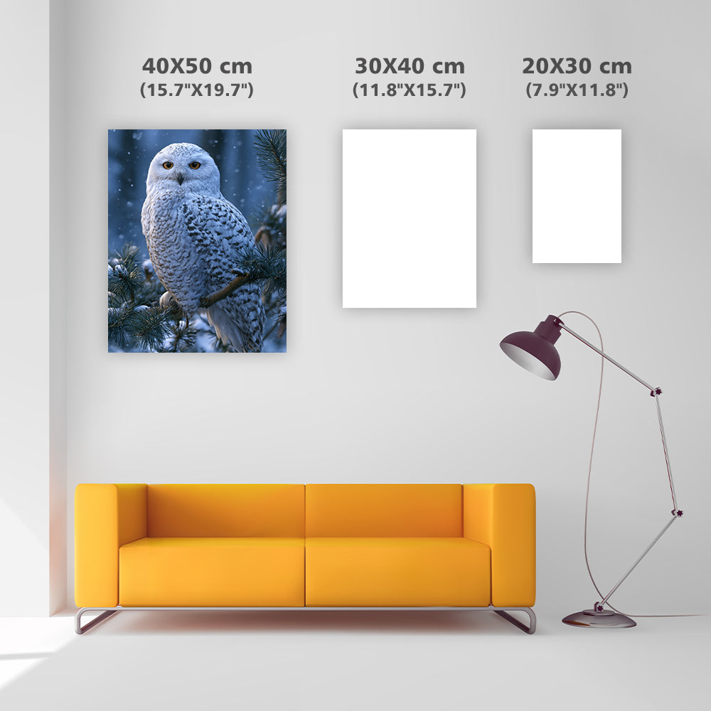 Winter Owl - Diamond Painting