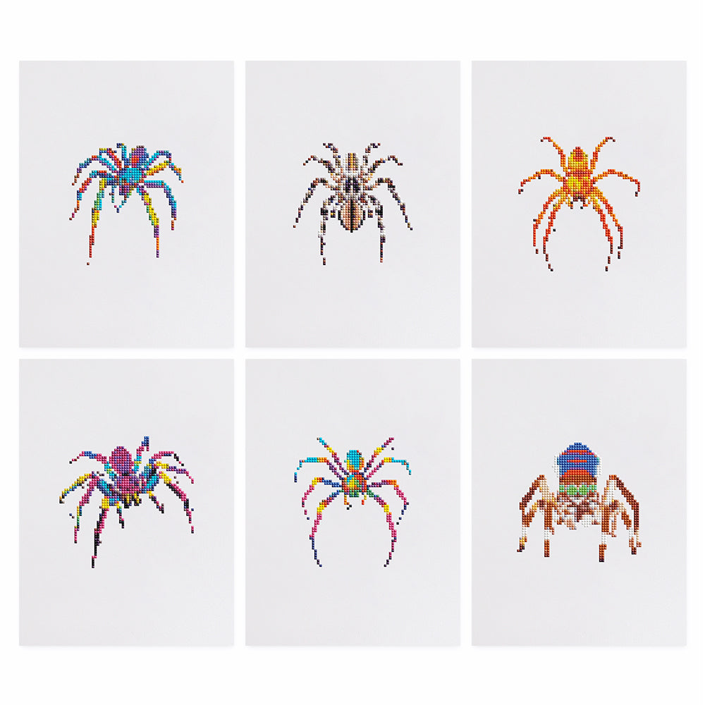 MINI-Colorful Spiders