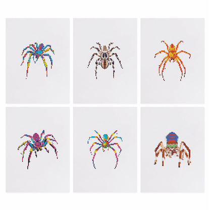 MINI-Colorful Spiders