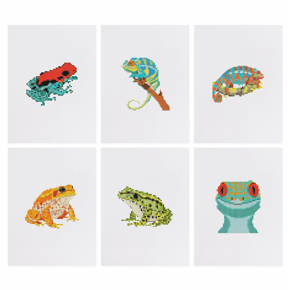 MINI-Tropical Frogs