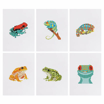 MINI-Tropical Frogs