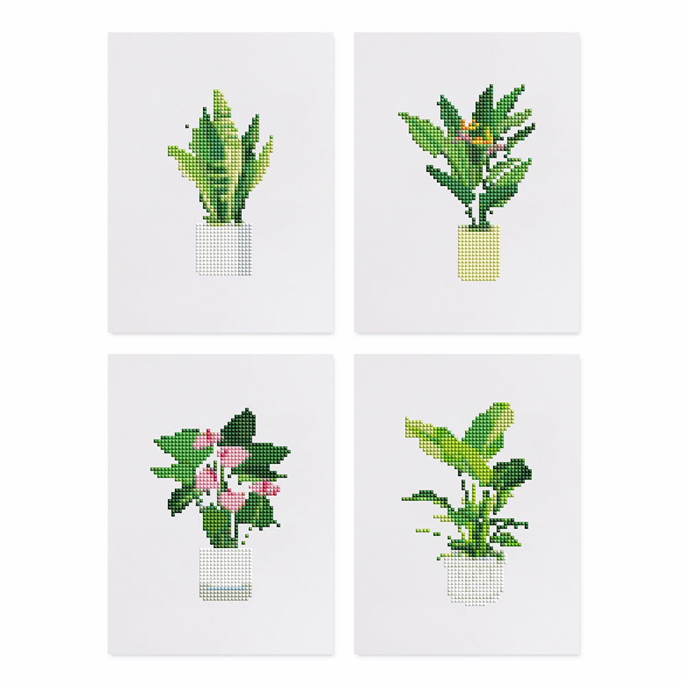 MINI-House Plants