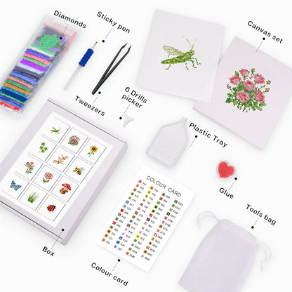 MINI-Nature & Floral Wonders