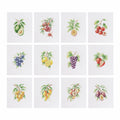 MINI-Fruit Botanicals