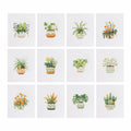 MINI-Green Plant Friends