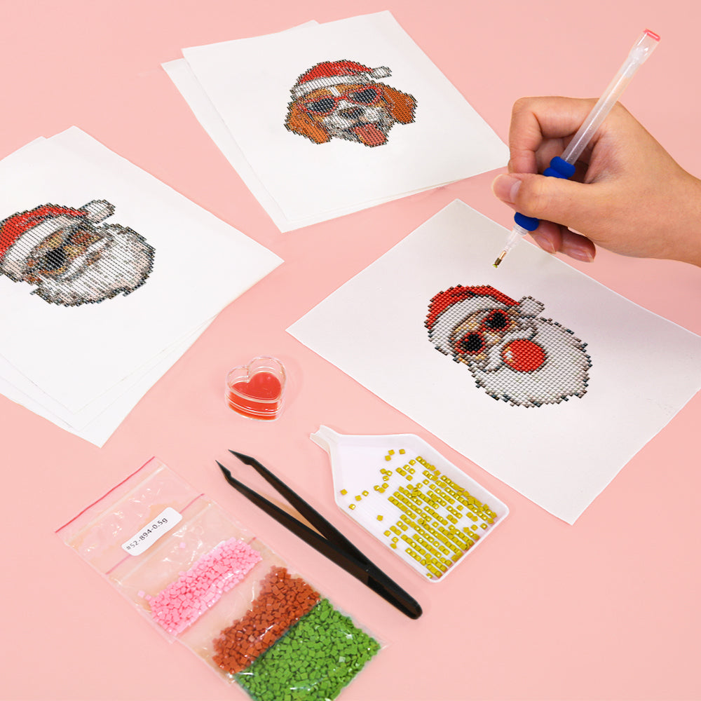MINI-Santa Claus Portrait