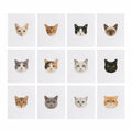 MINI-Cute Cat Faces