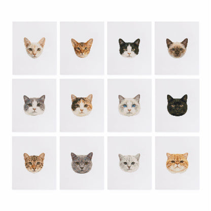 MINI-Cute Cat Faces