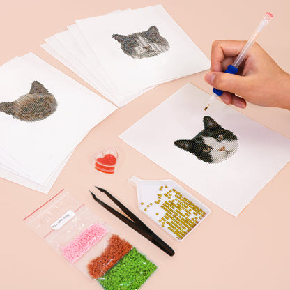 MINI-Cute Cat Faces