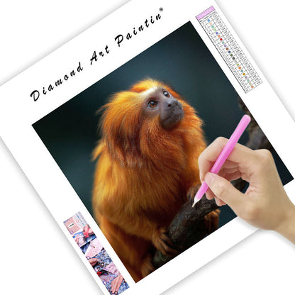 Golden Lion Tamarin - Diamond Painting
