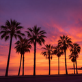 Palm Trees and Sunset - Diamond Painting