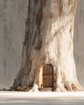 Tree Door Secret - Diamond Painting