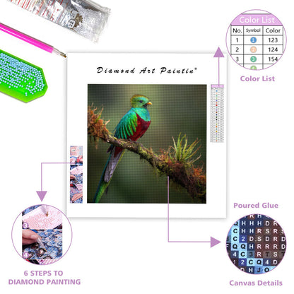 Resplendent Quetzal - Diamond Painting