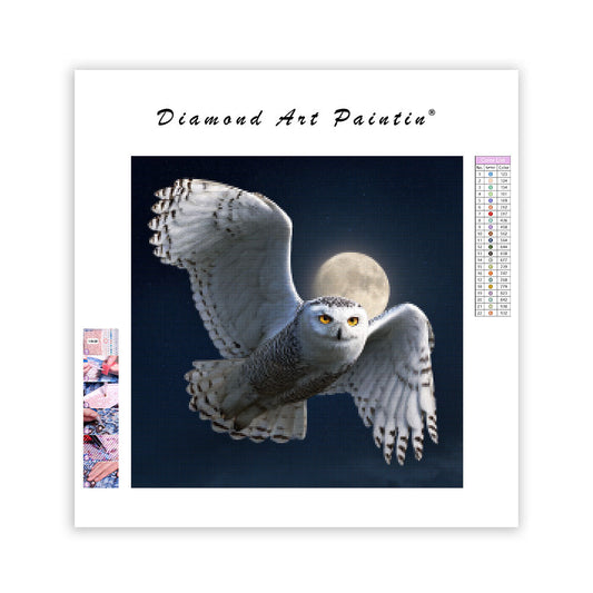 Snowy Owl in Flight - Diamond Painting