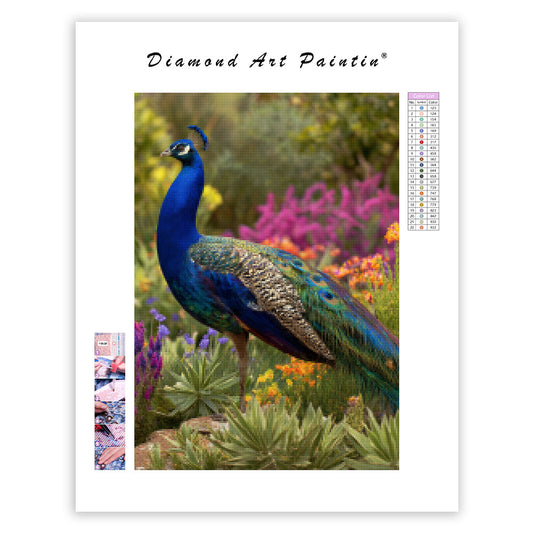 Peacock in the Garden - Diamond Painting