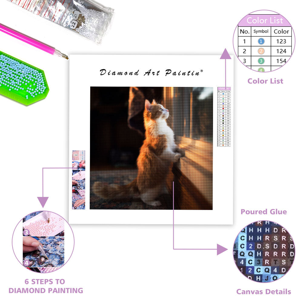 Munchkin Cat Window Gazing - Diamond Painting
