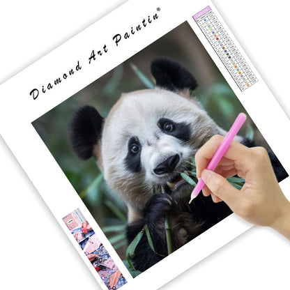 Panda Peace - Diamond Painting
