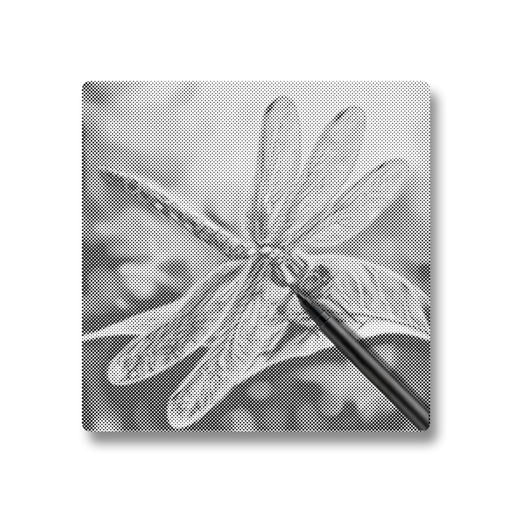Colorful Dragonfly - Dot Painting