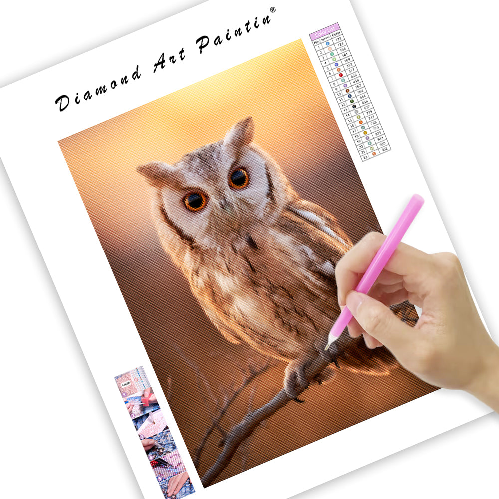 Owl Night Glow - Diamond Painting