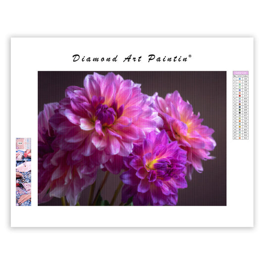 Vibrant Dahlia Blooms - Diamond Painting