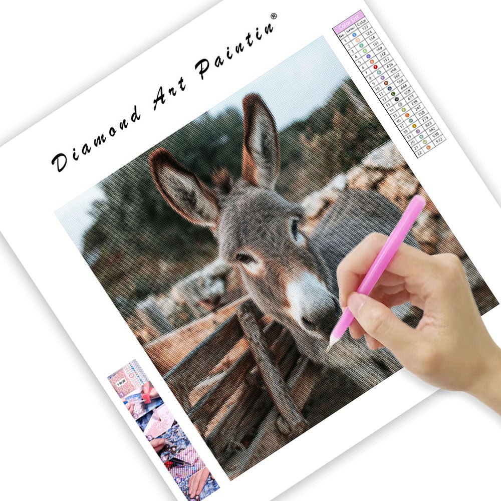 Donkey by Cart - Diamond Painting