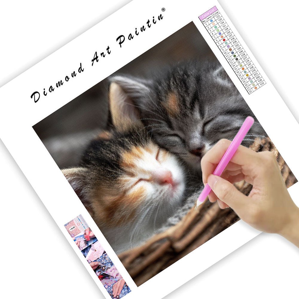 Kittens' Cuddly Slumber - Diamond Painting