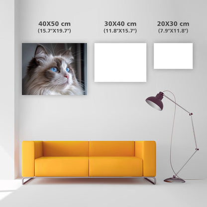Ragdoll Blue Eyes - Diamond Painting
