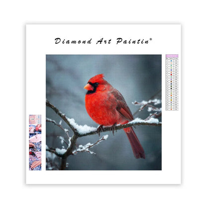 Red Cardinal in Snow - Diamond Painting