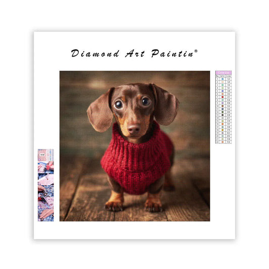 Dachshund in Red Sweater - Diamond Painting
