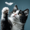 Pouncing on a Feather - Diamond Painting