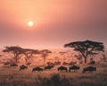 Sunrise Over the Serengeti - Diamond Painting