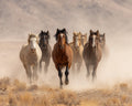 Wild Horses Running - Diamond Painting