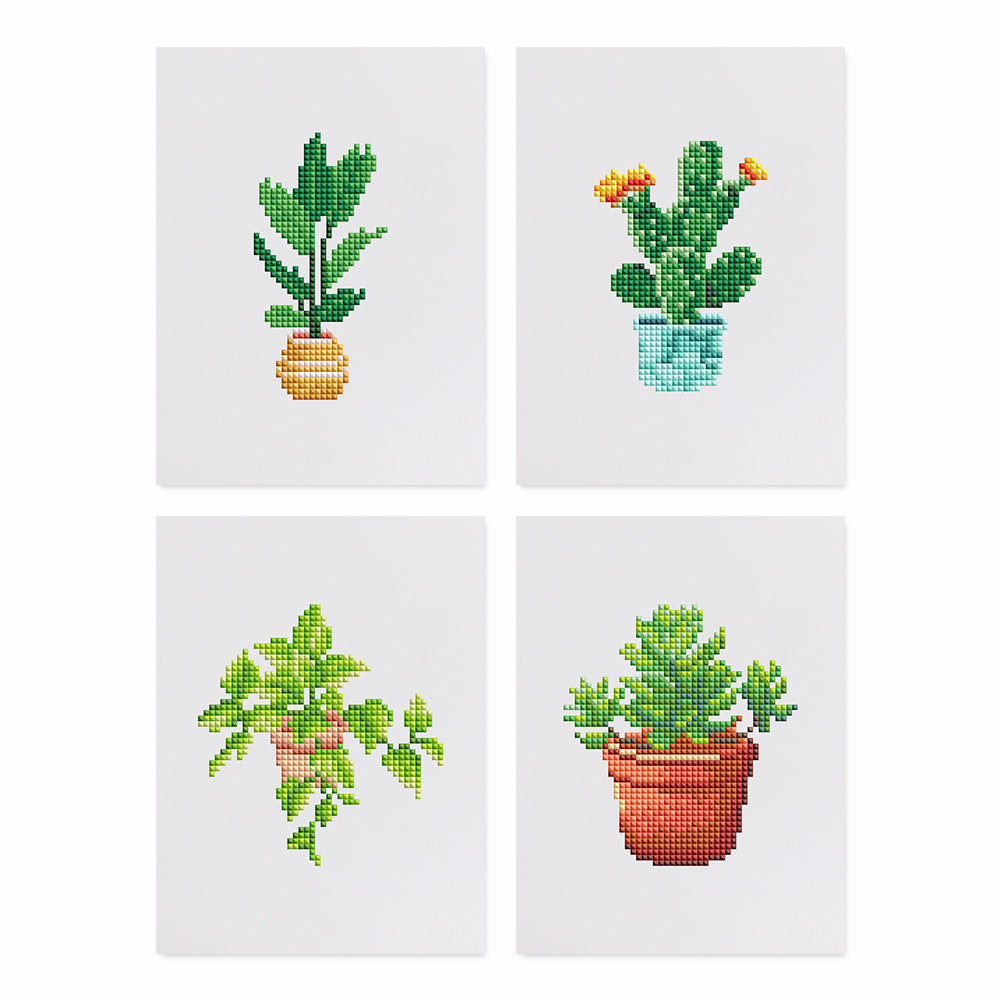 Mini-Cactus and Plant Set
