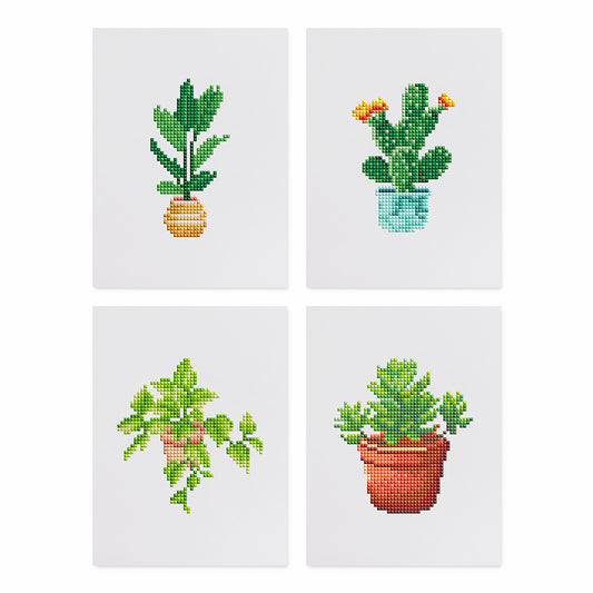 Mini-Cactus and Plant Set